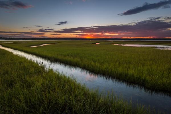 Salt Marsh Sunset